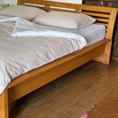 פלדקירשן אין קרנטן Wohnung Magdalena מראה חיצוני תמונה